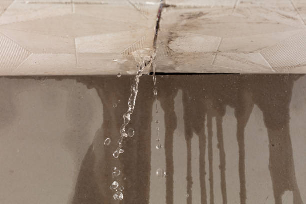 Professional Burst Pipe Cleanup technician working in Park Ridge, IL
